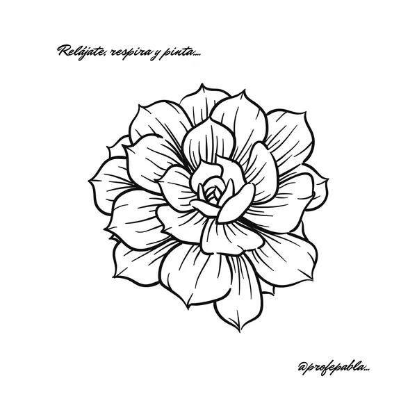 Pack de diversos dibujos de flores para colorear